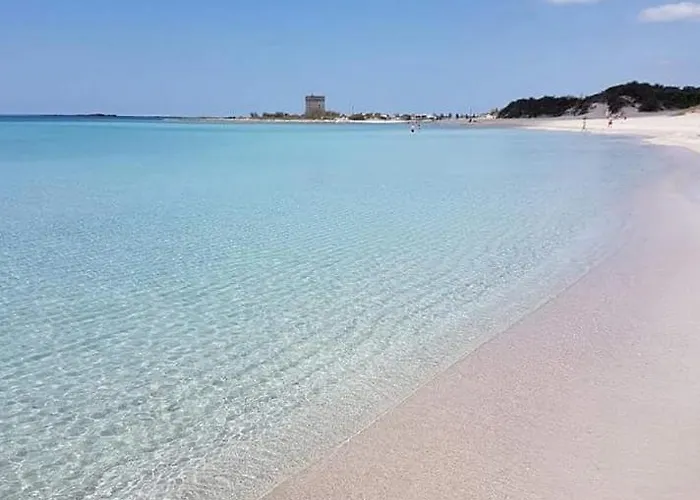 Mataroom 3* טורה לפילו